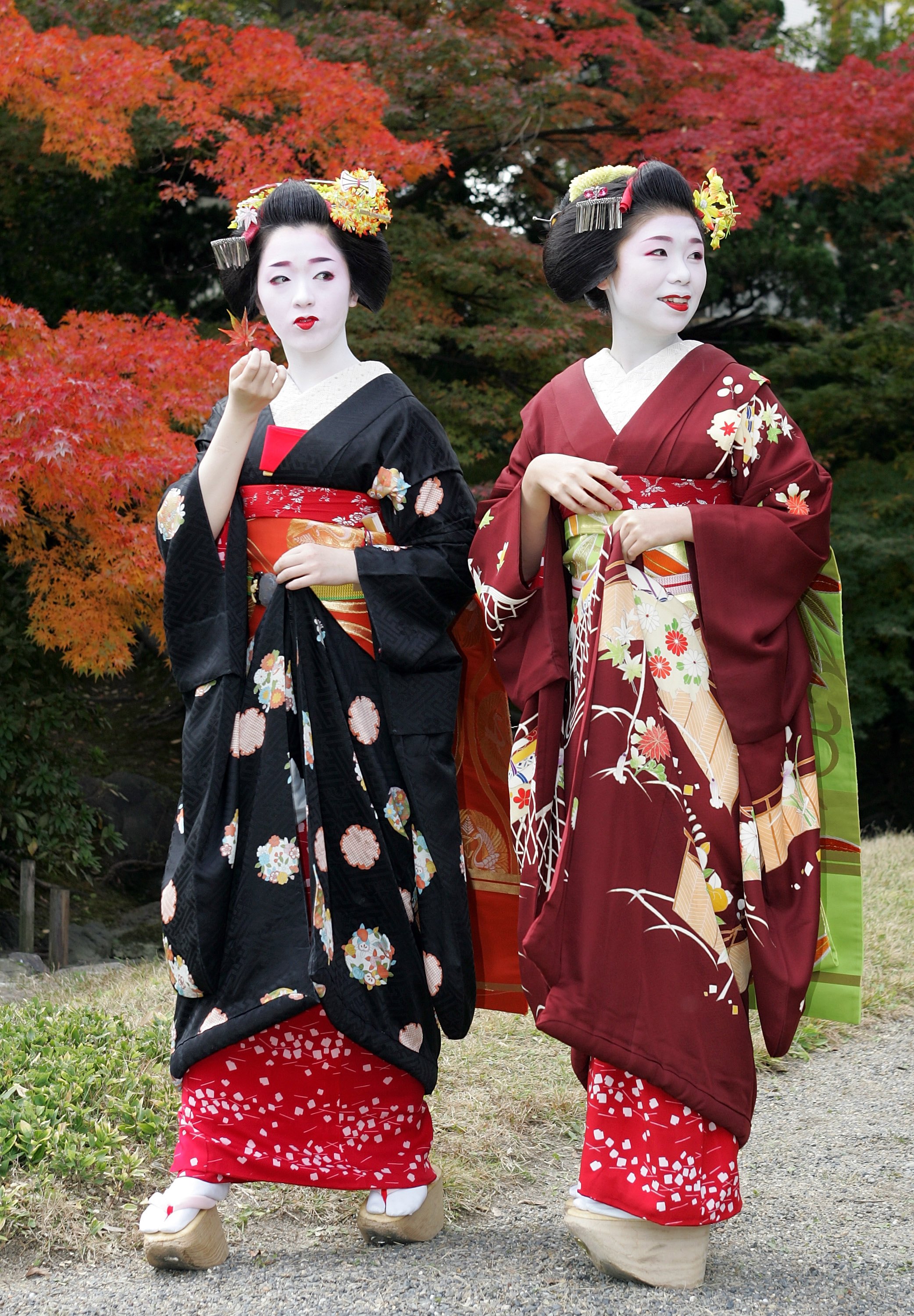 Image Image