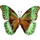 Ernies-Butterfly Ernies-Butterfly
