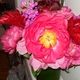 prettyinpink86 prettyinpink86