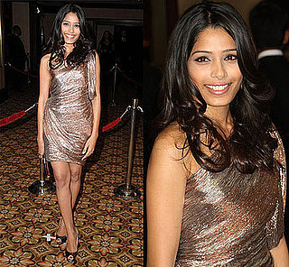 Freida Pinto in Zac Posen Metallic Dress at 61st Annual Directors Guild Awards Freida Pinto in Zac Posen Metallic Dress at 61st Annual Directors Guild Awards