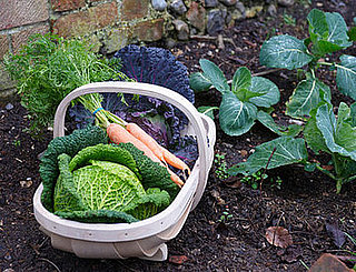 Yummy Links: From Edible Gardens to Cakes Yummy Links: From Edible Gardens to Cakes