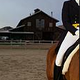 Dressage-Queen Dressage-Queen