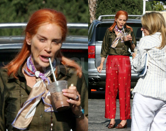 Sharon Stone Looks Ill Sharon Stone Looks Ill