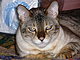 terrywagner123 terrywagner123