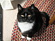 Amelie074 Amelie074