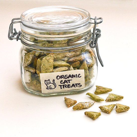 Homemade Organic Cat Treats POPSUGAR Pets