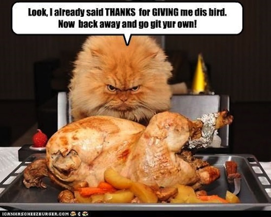 Thanksgiving Memes | POPSUGAR Tech