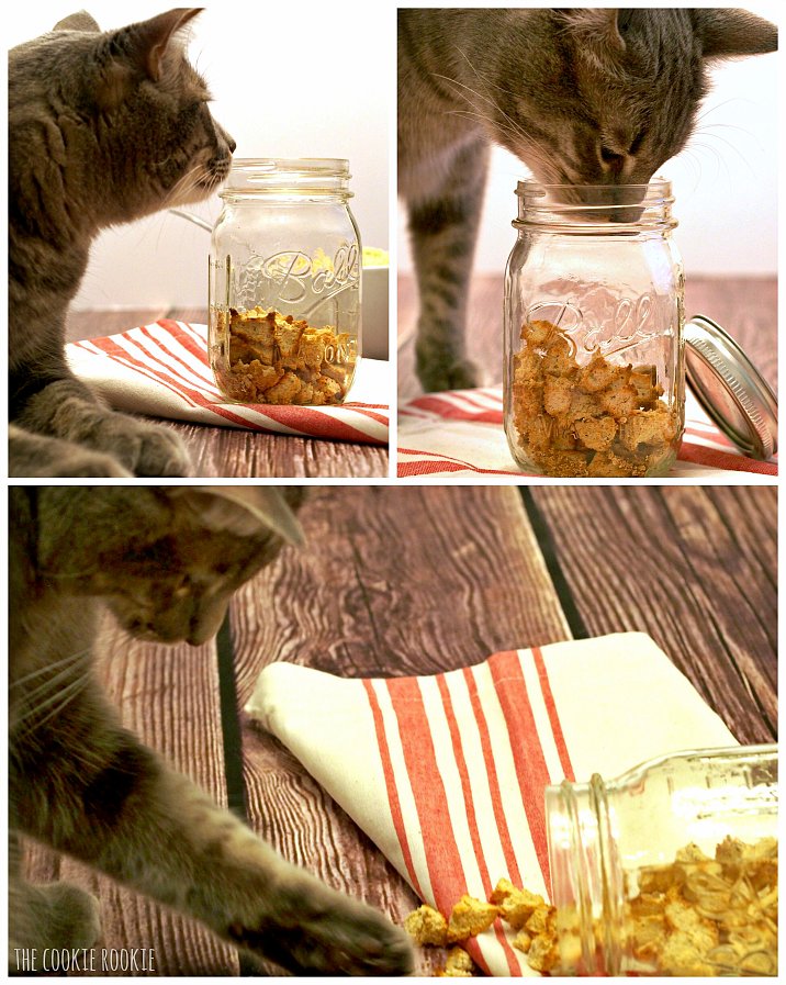 Salmon Catnip Cat Treat Croutons | POPSUGAR Pets