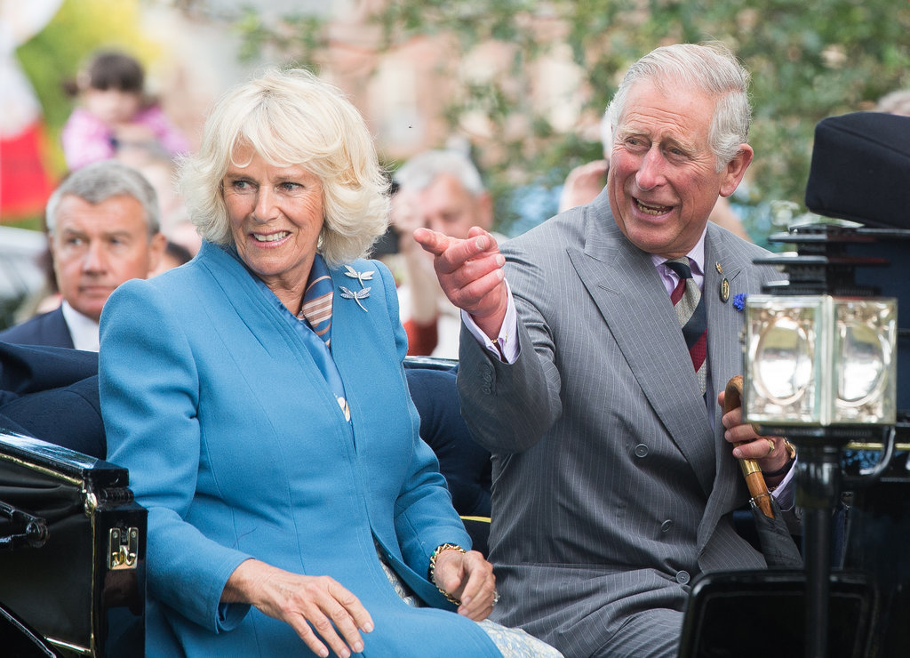 Prince Charles Camilla Freak Out at Eagle | POPSUGAR Celebrity
