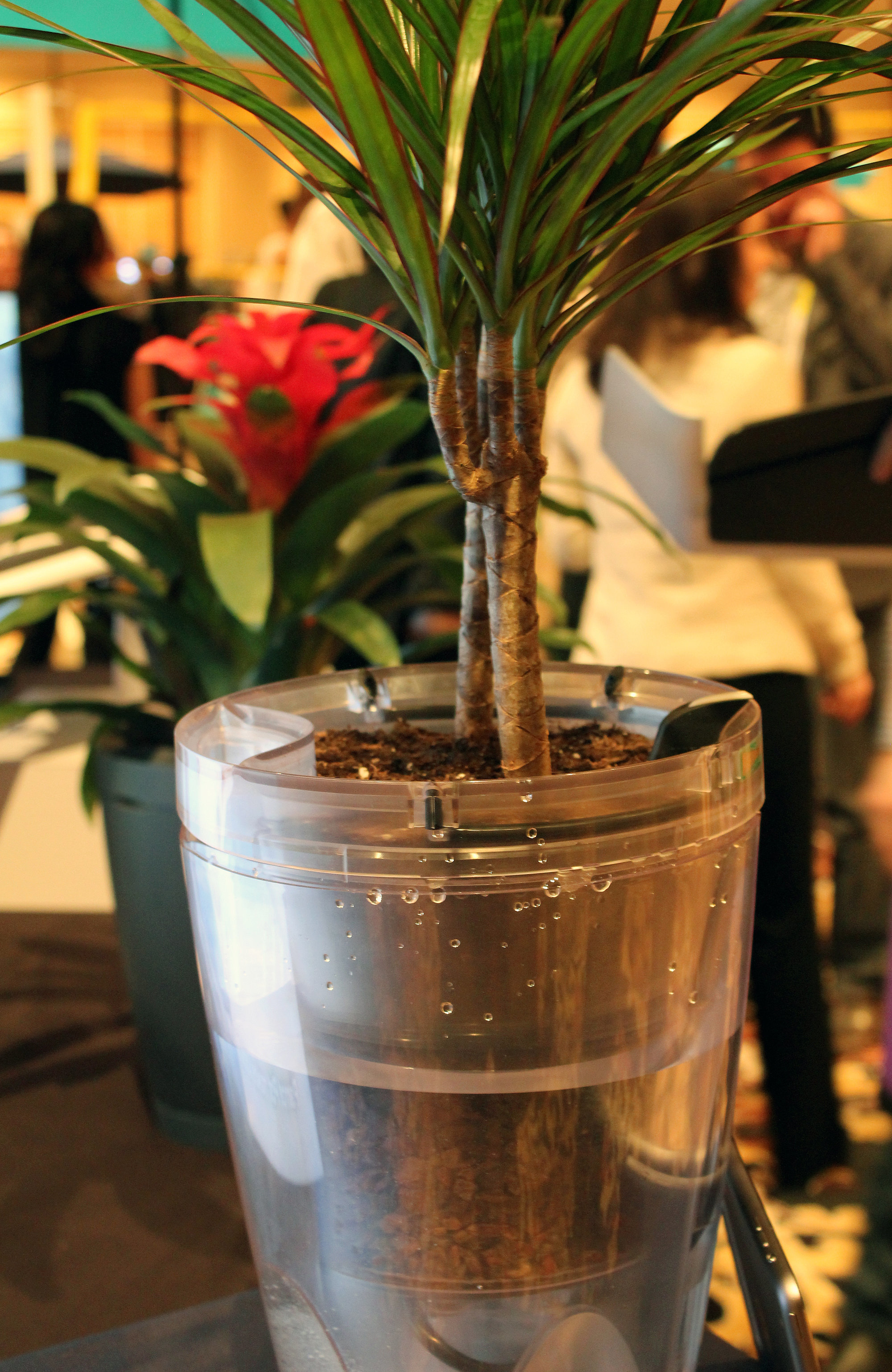 Pot That Waters Your Plants POPSUGAR Tech