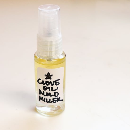 How to Make Clove Oil to Kill Mold | POPSUGAR Smart Living