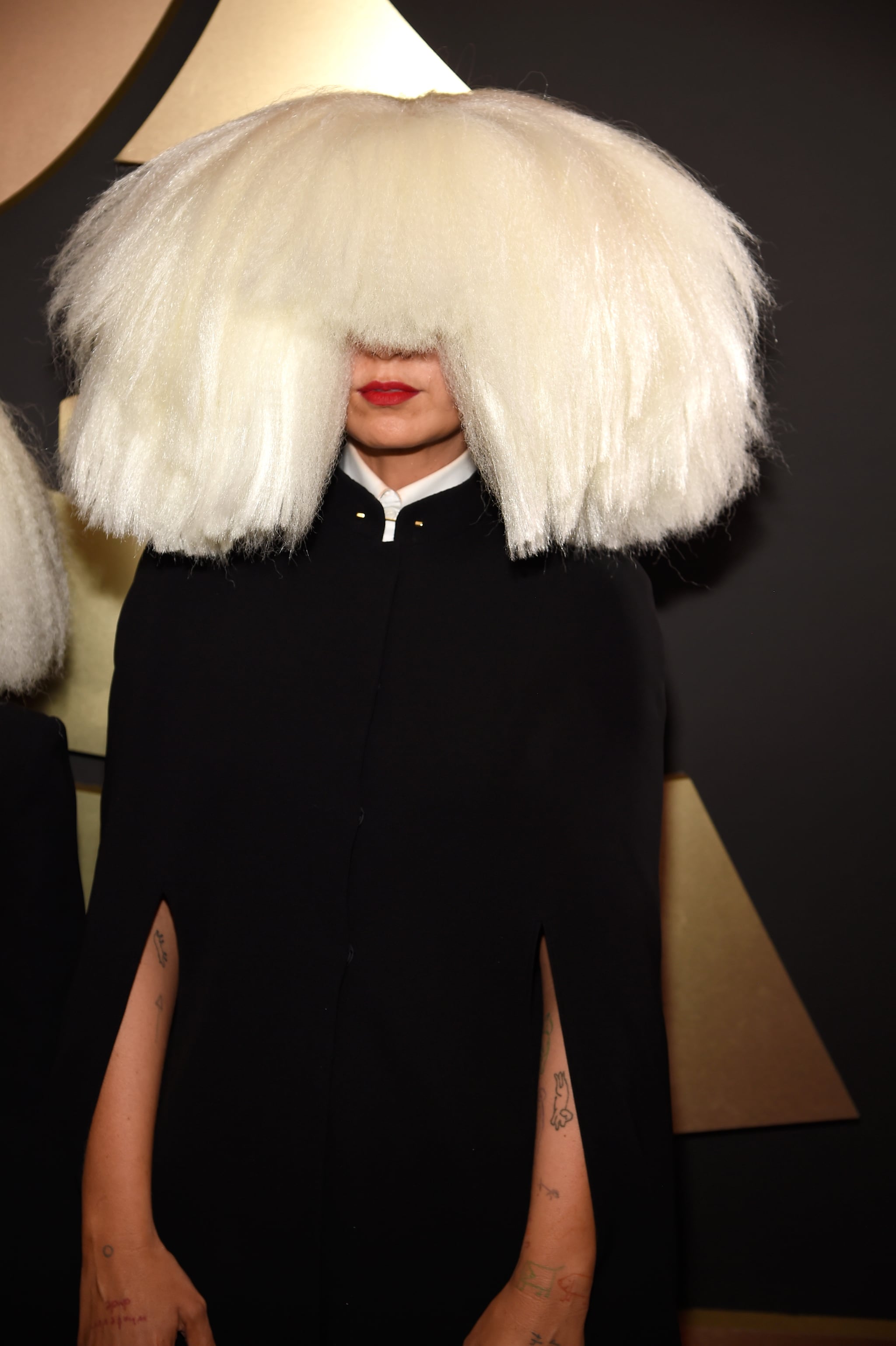 Sias Hair At The Grammy Awards 2015 Popsugar Beauty