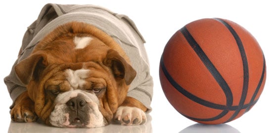 Basketball Toys For Dogs Make A Slam Dunk Popsugar Pets