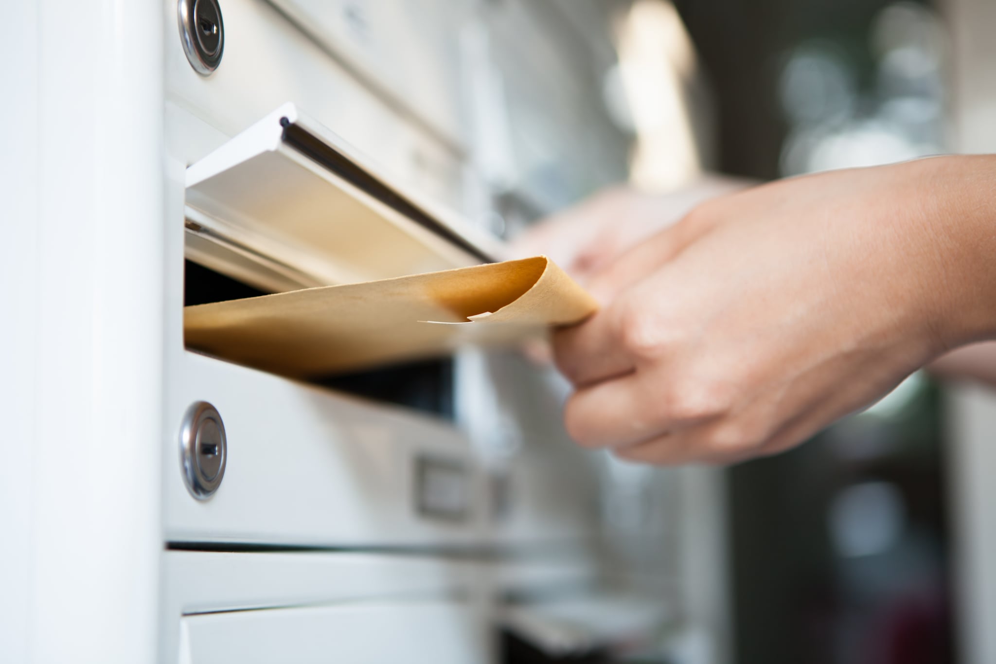 mail delivery software übersetzung