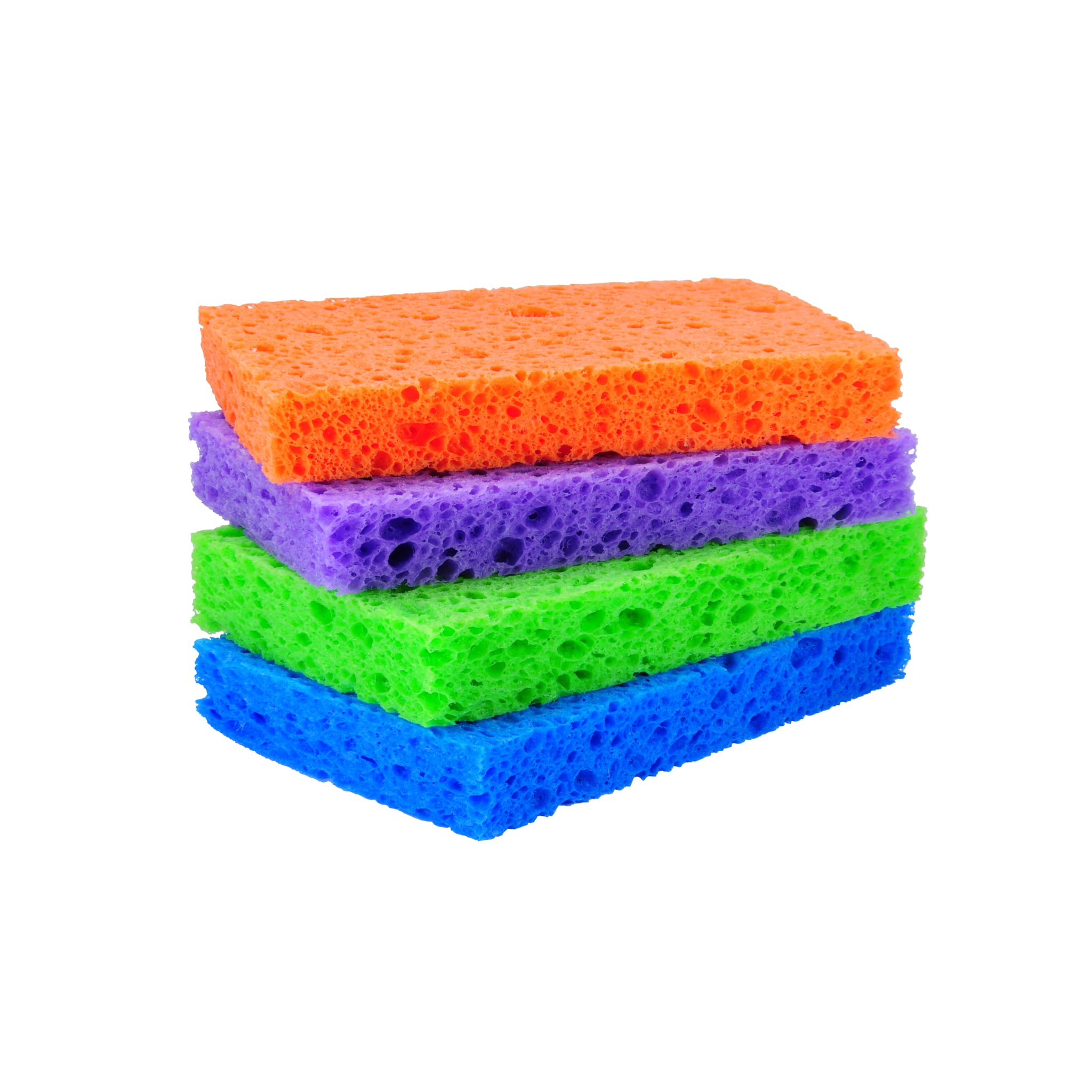 can a sponge learn how to move