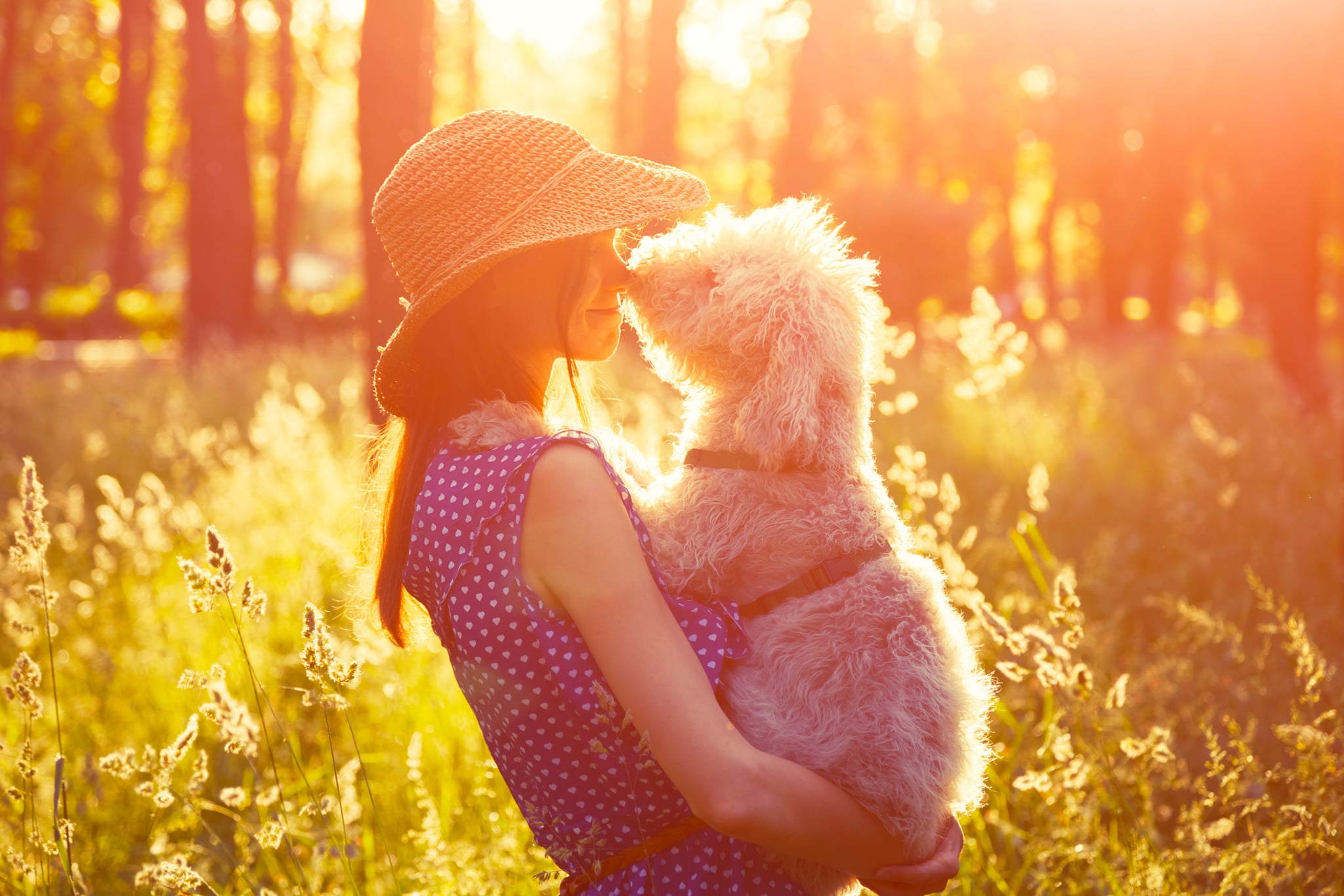 Why You Should Adopt An Adult Dog POPSUGAR Australia Smart Living